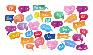 Mehrsprachigkeit Fremdsprachen Immersion fmks bilingual